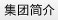 集团简介